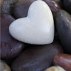 Meet your Posher, Tami